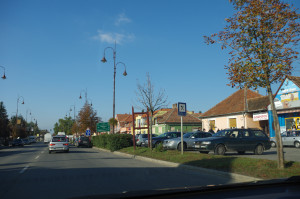 IMGP0468.JPG
