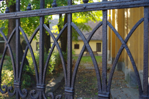 IMGP0471.JPG