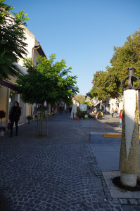 IMGP0475.JPG