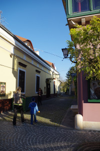 IMGP0476.JPG