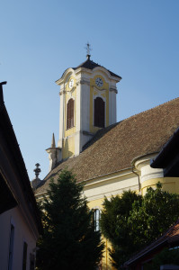 IMGP0477.JPG