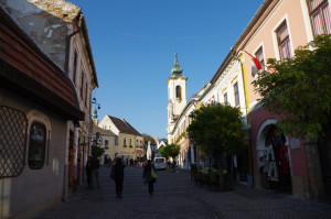 IMGP0478.JPG