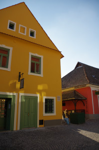 IMGP0482.JPG