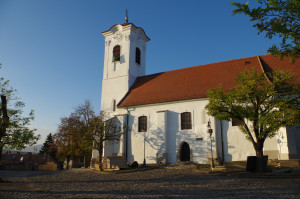 IMGP0489.JPG