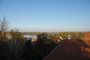 IMGP0490.JPG
