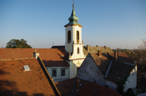 IMGP0491.JPG