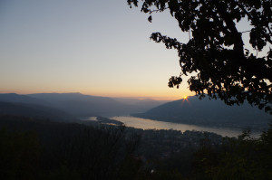 IMGP0497.JPG