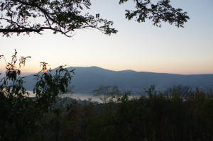 IMGP0500.JPG