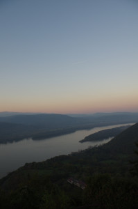 IMGP0503.JPG