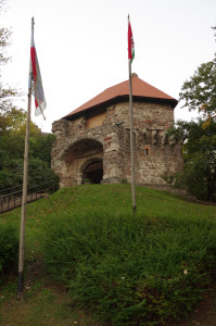 IMGP0524.JPG