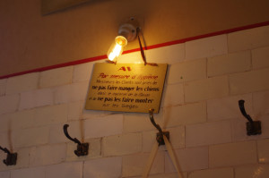 IMGP0530.JPG