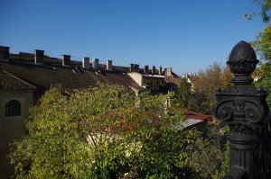 IMGP0536.JPG