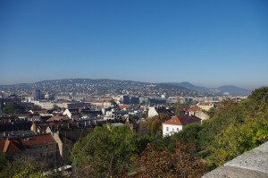 IMGP0542.JPG
