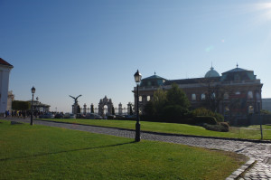IMGP0545.JPG