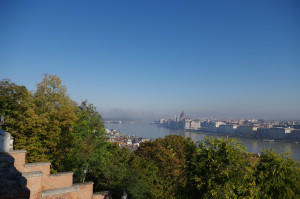 IMGP0547.JPG