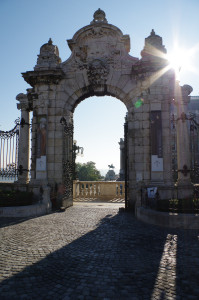 IMGP0555.JPG