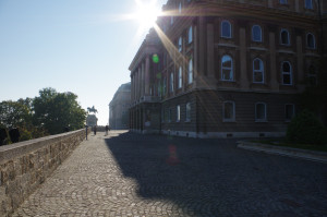 IMGP0560.JPG