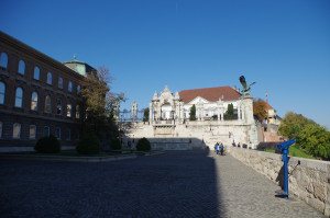IMGP0561.JPG