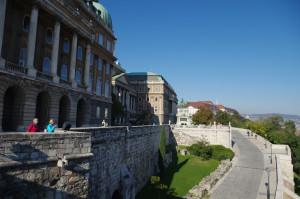 IMGP0571.JPG