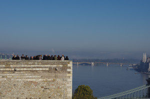 IMGP0584.JPG