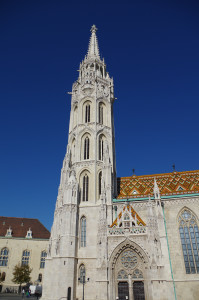 IMGP0596.JPG