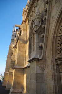 IMGP0598.JPG