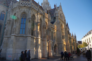 IMGP0601.JPG