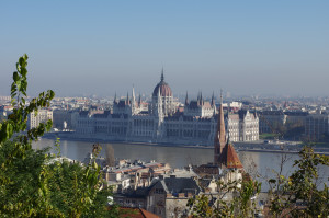IMGP0603.JPG