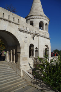 IMGP0604.JPG