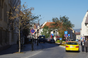 IMGP0608.JPG