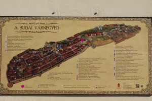 IMGP0611.JPG