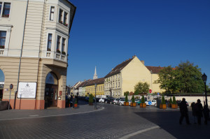 IMGP0612.JPG