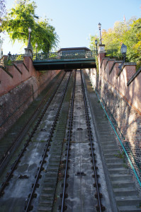 IMGP0623.JPG