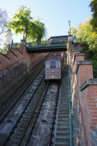 IMGP0626.JPG
