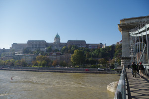 IMGP0634.JPG
