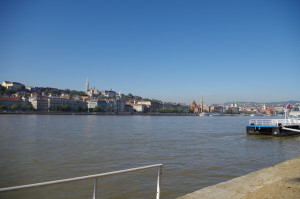 IMGP0638.JPG