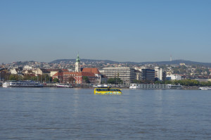 IMGP0639.JPG