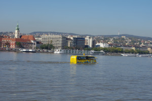 IMGP0640.JPG