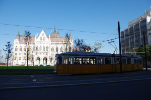 IMGP0644.JPG