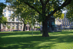 IMGP0648.JPG