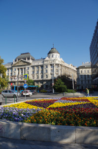 IMGP0649.JPG