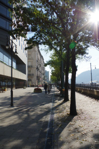 IMGP0650.JPG