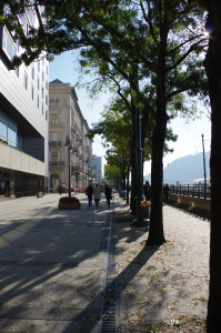IMGP0651.JPG