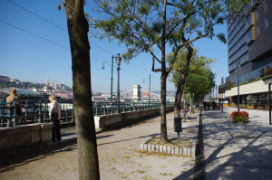 IMGP0652.JPG