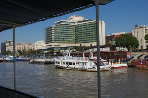 IMGP0659.JPG