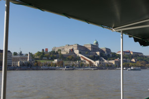 IMGP0662.JPG