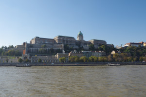 IMGP0670.JPG