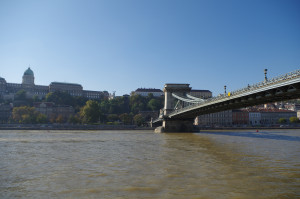 IMGP0673.JPG