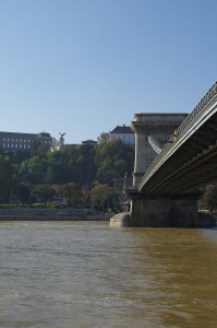 IMGP0674.JPG