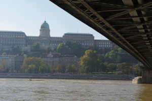 IMGP0675.JPG